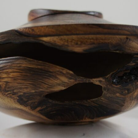 Another view of the Mesquite Art Form
